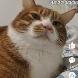 你的大冬323头像