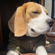 紫宿的个人资料头像