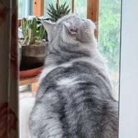 丰富多彩498头像