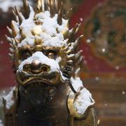 大头张的个人资料头像