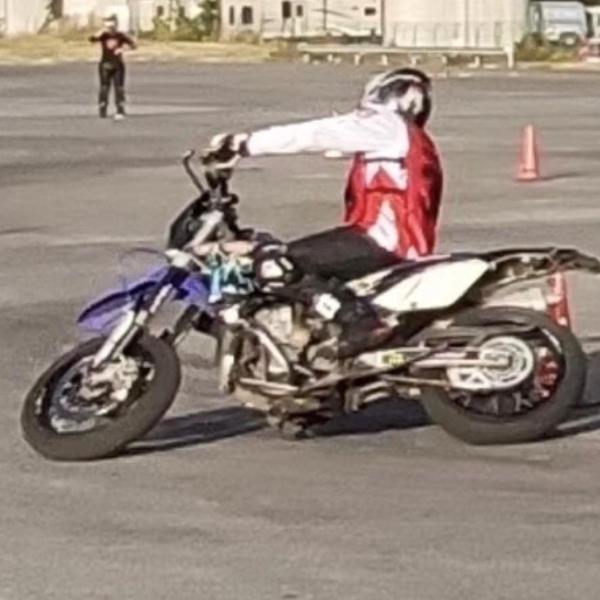 石碳纪风不停头像