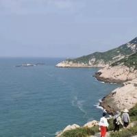 朴实熊猫q3L头像