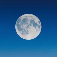 百分百毒不侵头像