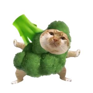 方小铭不铭头像