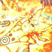 西索606的个人资料头像