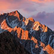 developerD的个人资料头像