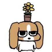 Kitori的个人资料头像