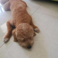 上海一尧跃良国际贸易有限公司头像