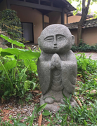 照照的个人资料头像