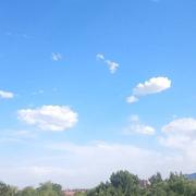 阿桶的个人资料头像