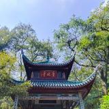 探花郎x头像