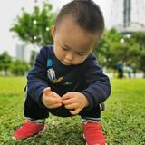 权WEI头像