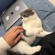 Emotion818的个人资料头像