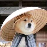 ww红鲤鱼与绿鲤鱼与驴头像