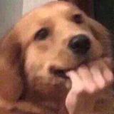 未命名头像
