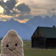 命数如织579的个人资料头像