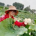 用户4365516964498头像
