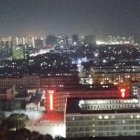 一洋是子洋头像