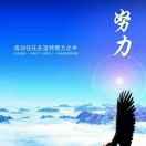 志存高远_龙的个人资料头像