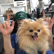 吉奥的个人资料头像