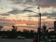 一根胡萝卜的个人资料头像