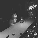 Cat3716头像
