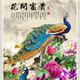 狠阳光227头像
