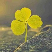 one51的个人资料头像