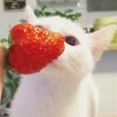 兆兆的个人资料头像