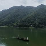 黄岩绿豆面头像