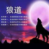 灵敏溪流xQS头像