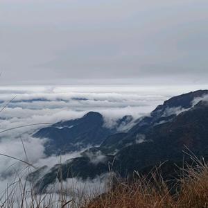 天天吃饭aa头像