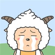 归宿y的个人资料头像