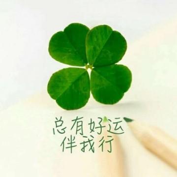龙少乘风破浪头像