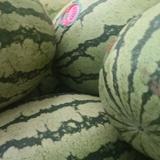 用户692467724524头像