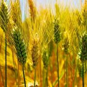 AiDBdbaupcom的个人资料头像