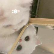 xx黑粉的个人资料头像