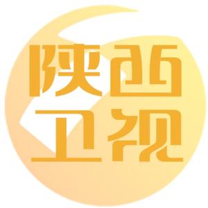陕西卫视