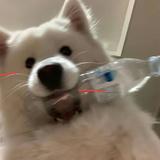 V8机械蹭压头像