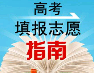 博诺志愿填报王老师头像