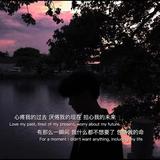 守币者o币奴隶头像