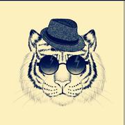 王斌959的个人资料头像