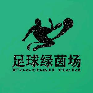 足球绿茵场Football头像