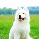 用户6791175462232头像