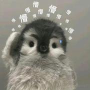 钟无玉的个人资料头像