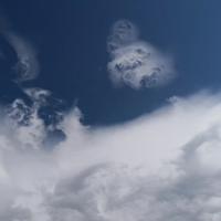 震哥哟O头像