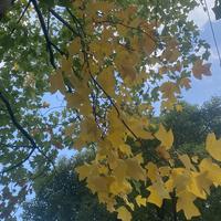 艾8小逸头像