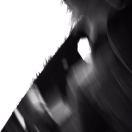 miaokii的个人资料头像