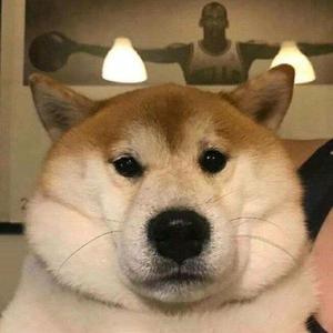 阿蛋专栏头像