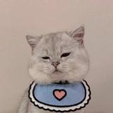 林七6666头像